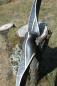 Preview: SpiderBows Langbogen Black Special - 68'', 35# - Rechtshand